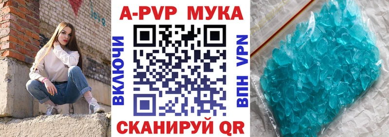 A-PVP СК Волгореченск