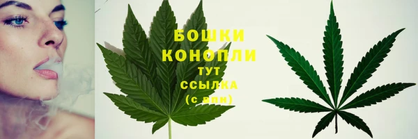 гашиш Белокуриха