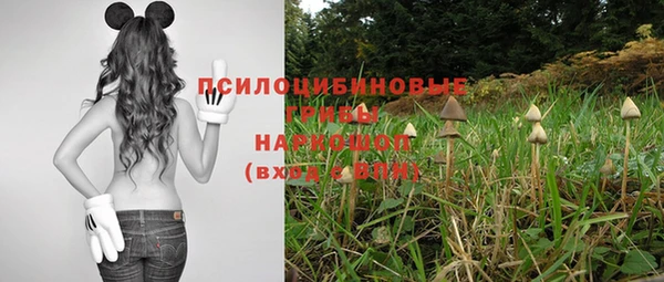 синтетический гашиш Беломорск