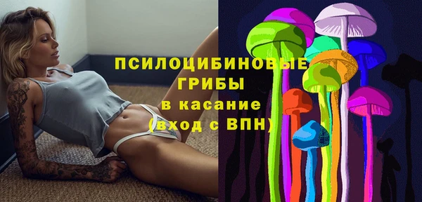 ALPHA PVP Покров