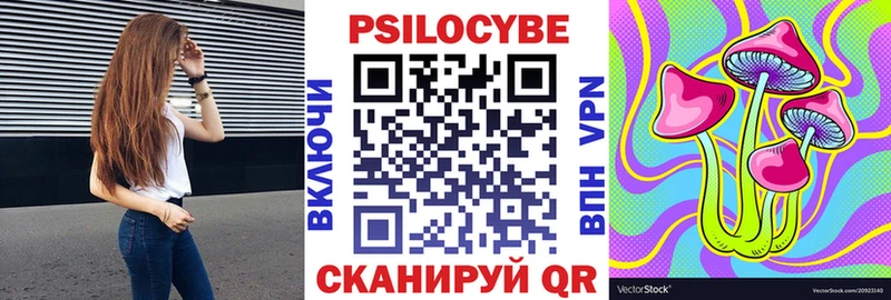 Псилоцибиновые грибы Psilocybe  MEGA ссылки  Волгореченск  купить  сайты 